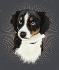 Grumpykitten Commission Example