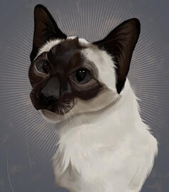 GrumpyKitten Commission Example